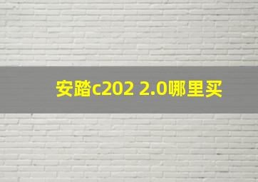 安踏c202 2.0哪里买